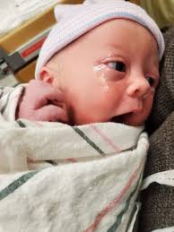 Augusta Peay Wells and family connections in Rochester, Kentucky