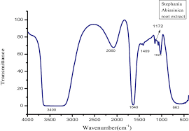 Image result for Stephania abyssinica