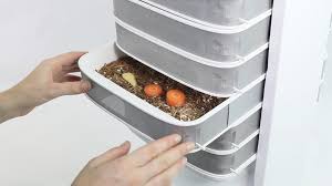 ¿puedo encontrarme gusanos en un huevo de gallina? Sano Y Ecologico El Primer Aparato Para Criar Gusanos Comestibles En Casa Diario La Capital De Mar Del Plata