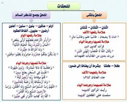 الملحقات الملحق بالمثنى والملحق بالجمع بنوعيه جمع المذكر السالم وجمع المؤنث السالم شرح مبسط مع تحميل Pdf Learn Arabic Language Learning Arabic Language