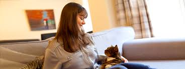 Nestlé purina body condition ribs visible on shorthaired cats; Healthy Cat Weight Body Condition Purina