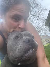 Please message me if anyone sees my precious girl Bladensburg Creek rd area 