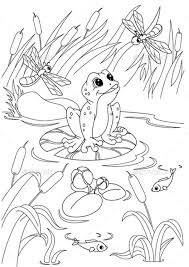 Free Easy To Print Frog Coloring Pages Frog Coloring Pages Animal Coloring Pages Pond Animals