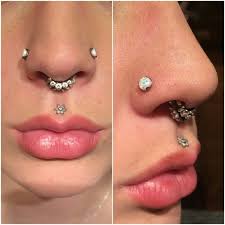 Double Nostril Double Septum And Medusa Cc Earings Piercings Facial Piercings Piercings