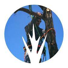 100 new rd # j14, somers point, nj 08244, usa. Peterson Tree Service Home Facebook