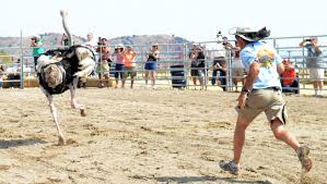 Fonner, and first held races in 1954. Carson City Jockey Family S Roots Run Deep At Camel Ostrich Races