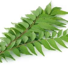 Curry leaf is known as pyi naw thein in burma, daun kari and karupillai in malasia, karapinchi in sri lanka, and murraya koenigii, bergera koenigii and chalcas koenigii in latin. Curry Leaf Davao Home Facebook