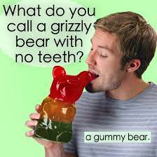 Vat19 On Twitter What Do You Call A Grizzly Bear With No Teeth Https T Co X9nahvqw8x