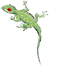 Yellow Spotted Lizard Book Worth Reading Book Club Worth Reading