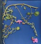 Image result for Dicerocaryum senecioides