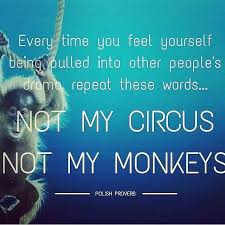 Not My Circus Not My Monkeys Not My Circus Office Quotes Words