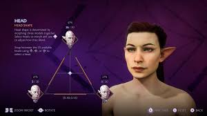 Image result for Felicia grantii