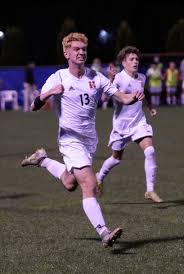 WIAA Division 1 soccer semifinal: Verona vs. Sussex Hamilton photos