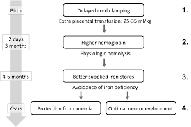 Https Silo Tips Download Effects Of Delayed Versus Early Cord Clamping On Healthy Term Infants