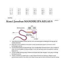 Trims unt soalnya moga bermanfaat. Buku Mandiri Ipa Smp Kelas 9 Ix K13 Soal Jawaban Kurtilas Shopee Indonesia