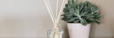 Diffuseur de parfum en fibre de roseaux par capillarité : Diffuseur De Parfum Avec Baton Comment Bien Choisir