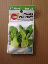 No nama ilmiah nama umum bentuk asal negara 194 brassica campestris pakchoi benih/biji malaysia 195 brassica chinensis var. Biji Benih Sayuran Pak Choy Sawi Putih Shopee Malaysia