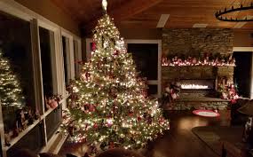 Christmas Tree Fire Safety Tips Here S What You Need To Know Find & download free graphic resources for christmas tree. christmas tree fire safety tips here s