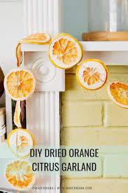 The leaves give off a deliciously strong lemon scent, and can be used fresh or dried in any number of ways. Diy Dried Orange Garland And Citrus Ornaments Maker Mama
