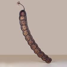 Image result for Entada gigas