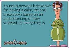 Depression can be the underlying cause of your nervous breakdown. 11 Shake It Off Its All In Your Leg Ideas Funny Quotes Words Bones Funny