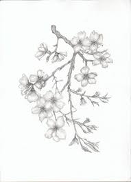 Did you scroll all this way to get facts about pencil trees drawing? Almond Blossom Branch Cherry Blossom Drawing Flower Drawing Tree Drawings Pencil