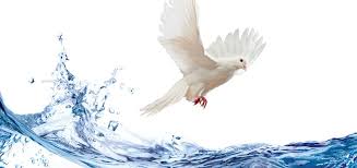 The baptism of believers in the holy spirit is witnessed by the initial physical sign of speaking with other tongues as the spirit of god gives them utterance (acts 2:4). What Is True Baptism Water Or Holy Spirit Spirit Truth