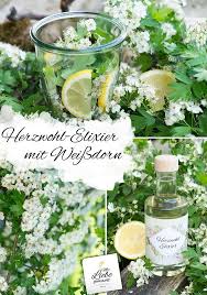 Einer Der Auf Unser Herz Schaut Der Weissdorn Rezept Fur Ein Herzwohl Elixier Mit Liebe Gemacht Heilpflanzen Krauterpflanzen Weissdorn