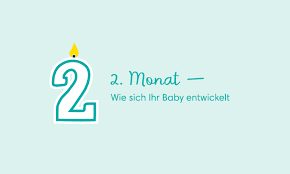 Baby 2 Monat Entwicklung Schlafrhythmus Trinkmenge Pampers
