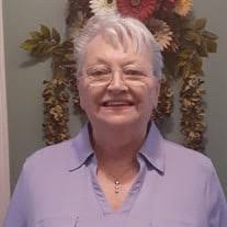 Julie Marie Schaff Obituary (2024)