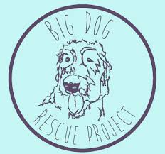 Since then, underdog rescue mn. Big Dog Rescue Project Petfinder