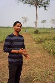 Pineapples Are Not for Sissies « Where the Sacred Dwells, Namaste