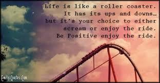 Quotes About Roller Coaster Ride 62 Quotes