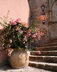 Sicily Photography Peach Home Decor Italy Photograph Pink Flowers Wall Art Italian Architecture Print In 2021 Mediterranean Decor Italy Photograph Italy Photography