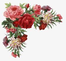 Rose Frontera Rosa Clipart Rojo Rosa Png Y Psd Para Descargar Gratis Pngtree Vintage Roses Rose Clipart Floral Border
