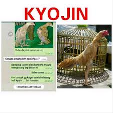 We did not find results for: Kyojin Pakan Ayam Bangkok Tentang Kolam Kandang Ternak