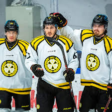 Brynäs är i kris efter intern turbulens och brottsanklagelser mot spelare och nu kräver en grupp medlemmar att hela styrelsen ska lämna, rapporterar arbetarbladet. Vandningen Jattelofte Lamnar Shl Klubben Efter 0 Matcher Har Ar Nya Laget Basta Alternativet