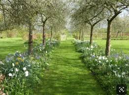 Pin By David Bryant On Tuin Ideeen Orchard Garden Big Garden Natural Garden