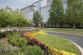 City, pa todd quality landscape services provides design, installation and maintenance of landscapes. Incentivizing Excellence Lawn Landscape