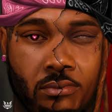 Webp.net-resizeimage (11)