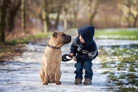 Unlocking the secrets of your childhood memories by kevin leman, randy carlson. Here S Why You Can T Remember Your Childhood Memories Best Life