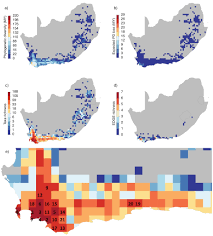Image result for Erica kingaensis