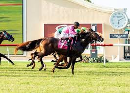 The preakness is carded as race 11 with a post time of 5:36 et. M614zajgaijqkm