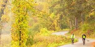 Headwaters 100