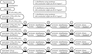 Flowchart For The Fractionation Of Pep Combining Ammonium