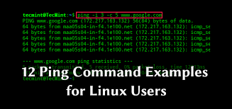 Ping Is A Simple Widely Used Cross Platform Networking Utility For Testing If A Host Is Reachable On An Internet Protocol Ip Networ Linux Networking Coding