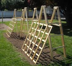 Many gardeners have learned the hard way (including me) that letting your cucumber vines just spread upon the ground is a good way to not have many cucumbers. Tomato Ladders And Cucumber Trellises The Year Round Harvest