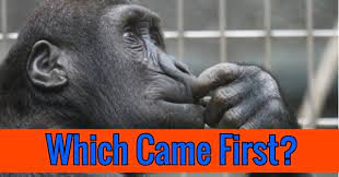 Built by trivia lovers for trivia lovers, this free online trivia game will test your ability to separate fact from fiction. Which Came First Quizpug