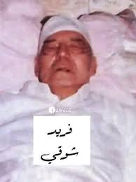 كوبرى الملك سلمان من جنوب سيناء ل تبوك