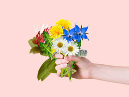See purslane's health benefits and find a recipe here. 11 Edible Flowers With Potential Health Benefits